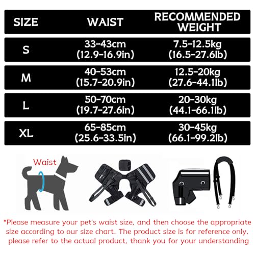 Hunde Aufzugsgeschirr,Tragehilfe,Tragehilfe Hund Treppe,Hundeliftgeschirr Mobilitätshilfen,Hebegeschirr für Mittelgroße Große Hunde Hundehebegeschirr Hundestützgeschirr für die Hinterbeine (M) von BWLEANSY