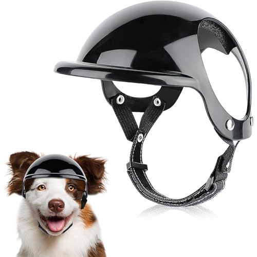 Hunde Helm Motorradhüte Mit Ohrlöchern Hundehelm Haustier Helm Hund Harte Hut Sicherheit Reiten für Hunde Katze Einstellbare Kappe für Katzen/Kleine,Mittelgroße bis Große Hunde,Schwarz (L) von BWLEANSY