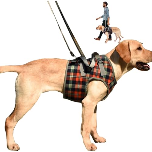 Hundegeschirr Vorne Beine Tragehilfe Hunde Gehhilfe Unterstützung Harness Pet Heben Ziehen Verstellbares,Für Klein,Mittel,Große Hunde Beine Rehabilitation Assist(Größe S,M,L,XL) (Red, XL) von BWLEANSY