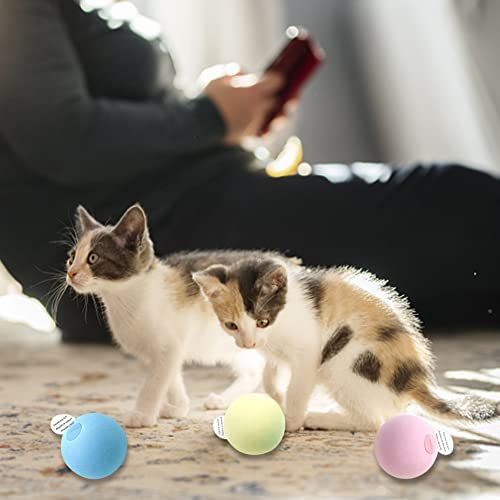 BYNYXI Katzenminze Ball Interaktives Spielzeug, 3er Set Katzenminze Spielzeug mit Vogel Frosch Cricket Chirping Tierrufe Lustiger Katzenbälle Bunte Eva-Schaum Plüschbälle für Katzen Spielzeug,50mm von BYNYXI