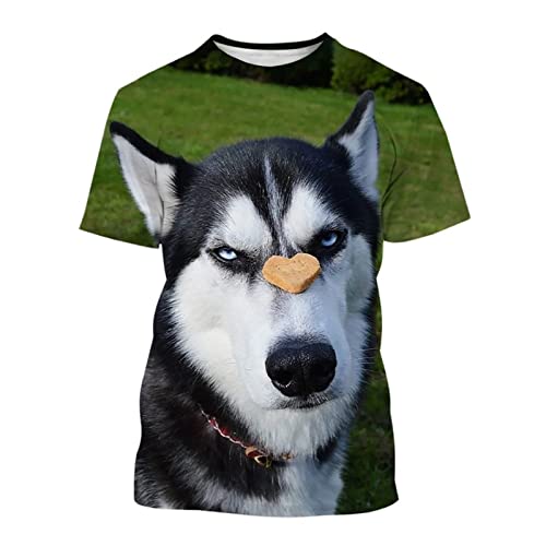 Herren 3D-gedrucktes Muster T-Shirts Top T-Shirts, Sommer Lustiges Haustier Hund 3D-Druck T-Shirt Mode Unisex Lässig Rundhals Kurzarm (Color : Husky-5303, Size : 3XL) von BYONIC