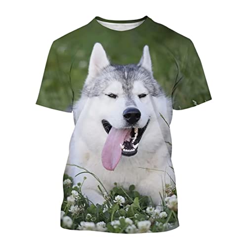 Herren 3D-gedrucktes Muster T-Shirts Top T-Shirts, Sommer Lustiges Haustier Hund 3D-Druck T-Shirt Mode Unisex Lässig Rundhals Kurzarm (Color : Husky-5306, Size : 3XL) von BYONIC