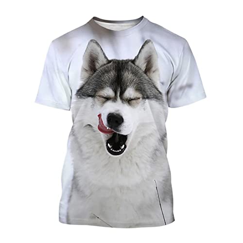 Herren 3D-gedrucktes Muster T-Shirts Top T-Shirts, Sommer Lustiges Haustier Hund 3D-Druck T-Shirt Mode Unisex Lässig Rundhals Kurzarm (Color : Husky-5307, Size : 3XL) von BYONIC