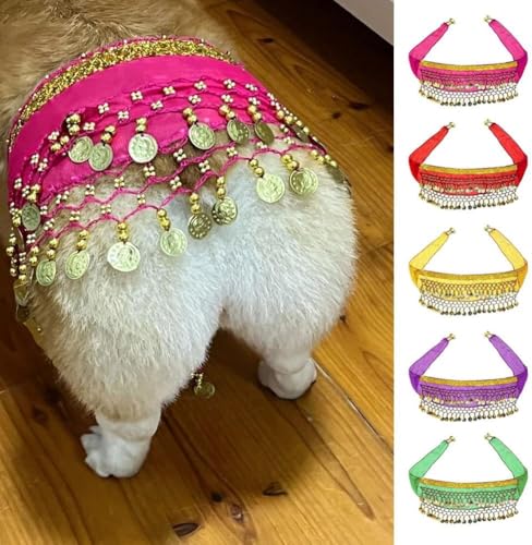 Bauchtanz-Rock für Hunde, lustiges Hunde-Bauchtänzer-Kostüm, schüttelndes Hüft-Outfit mit Pailletten-Po, Kleidung, Schal, Bauchtänzerin, Rock für Hunde, Haustiere, Cosplay-Partys von BaYuYPOO