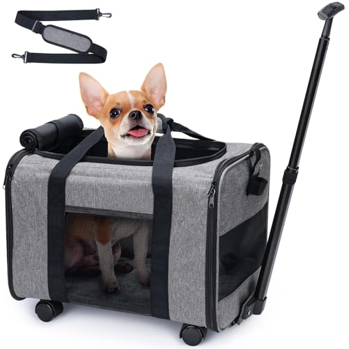 Babenest Hund Transporttasche Faltbar mit Trolley, Tragetasche mit Abnehmbar Teleskopgriff & Stummen Rädern für Flugzeug, Transportbox mit Schultergurt für Kleine & Mittelgroße Haustiere Reisen, Grau von Babenest