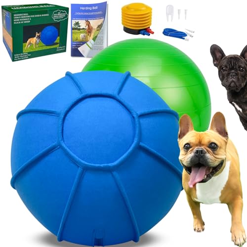 Herding Ball für Hunde, zweilagiges Herding Hundeball-Set für australischen Schäferhund, Rinder, Collie, für Hunde, Agility-Ausrüstung, inklusive Trainingsbuch (Blau, Größe M, 18 Stück) von BabieDtOyG