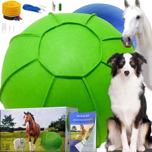 Herding Ball für Hunde, zweilagiges Herding-Hundeball-Set für australischen Schäferhund, Rinder, Collie, für Hunde, Agility-Ausrüstung, inklusive Trainingsbuch (Grün, Größe L, 25 Herding Ball-Set) von BabieDtOyG