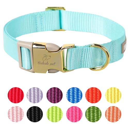 Babole Pet Hundehalsband aus Nylon, verstellbar, weiches Gurtband, für kleine, mittelgroße und große Hunde, Jungen, Mädchen, Welpenhalsband mit Sicherheits-Metallschnalle, Größe L von Babole Pet