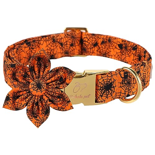 Babole Pet Halloween-Hundehalsband, Spinnennetz, mittelgroße Hunde, Blume, Krawatte, mit Metallschnalle, verstellbarer Hals, 34,3–55,9 cm, Schwarz von Babole Pet