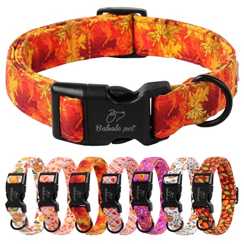 Babole Pet Hundehalsband, Thansgiving verstellbar, leicht, Baumwolle, für kleine, mittelgroße und große Jungen, Mädchen, Hunde, Orange, Ahornblatt, XS von Babole Pet