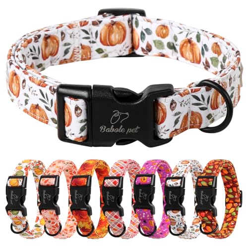 Babole Pet Hundehalsband, Thansgiving verstellbar, leicht, Baumwolle, für kleine, mittelgroße und große Jungen, Mädchen, Hunde, Weiß, Kürbis, L von Babole Pet