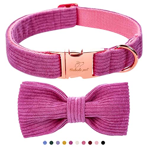 Babole Pet Premium Hundehalsband mit Fliege, doppellagiges Cord-Hundehalsband mit Sicherheits-Metallschnalle, verstellbares Welpenhalsband für kleine, mittelgroße und große Hunde,30.5 cm, Violett von Babole Pet