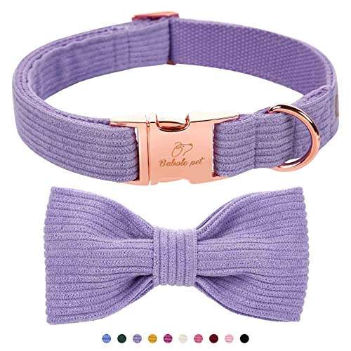 Babole Pet Premium Lavendel Hundehalsband mit Fliege, doppellagiges Cord-Hundehalsband mit Sicherheits-Metallschnalle, verstellbares Welpenhalsband für kleine, M-Halsumfang 34.3 cm,55.9 cm von Babole Pet