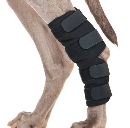 Back on Track Dog Hock Brace, pair von Back on Track