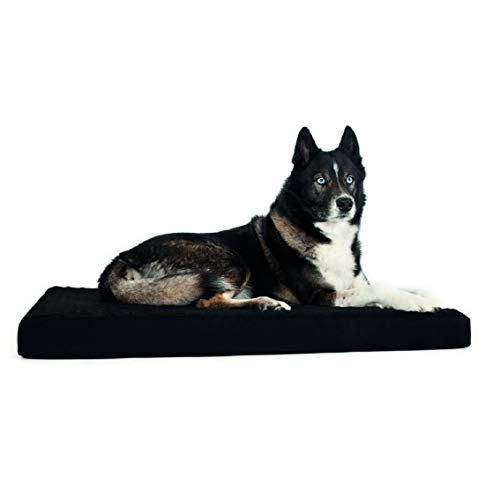 Back on Track Hundematratze 80 cm 100 cm schwarz von DOG Copenhagen