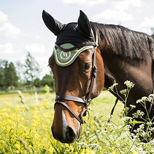 BoT Nights Coll. Fliegenohren Olive Pony von Back on Track