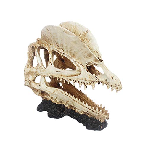 Backbayia Harz Realistische Schädel Modell Fisch Reptilien Versteck Höhle Aquarium Terrarium Ornament (Typ 4) von Backbayia