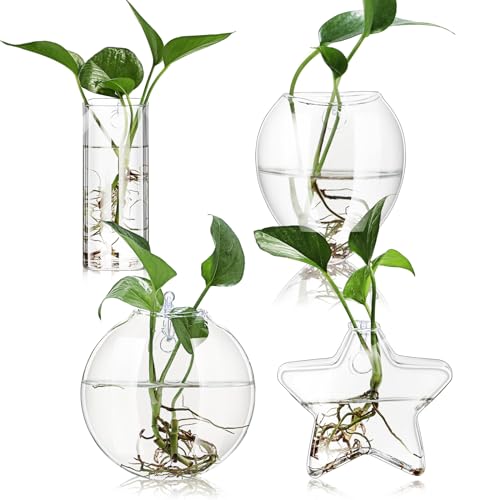 Baderke 4 Stück Wandbehang Pflanzgefäß Wand Fenster Anzuchtstation Hängende Pflanzgefäß Glas Terrarium Behälter Pflanze Anzuchtstation Pflanzgefäß Wandvase für Garten Büro Dekor (Neuheit) von Baderke