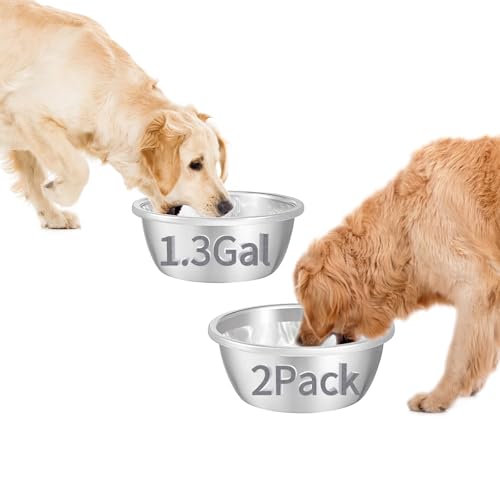 Baeluny 2 x große Wassernäpfe für Hunde, große Kapazität, Edelstahl, runde Hundenäpfe, Metall-Hundefutter- und Wassernäpfe für drinnen und draußen, extra große Hunde, 2 Stück von Baeluny