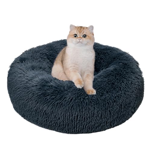 Haustierbett Katzenbett 40cm Haustierbett Flauschig Plüsch Hundebett Rund Weiches für Bis Zu 2.5kg Kleine Haustiere Dunkelgrau von Baguuaray