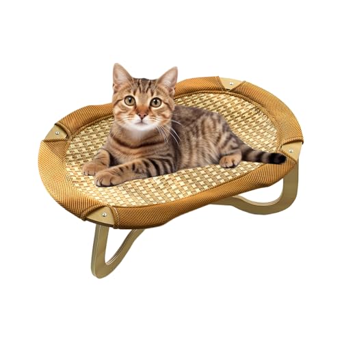 Bajbumgn Rattan Katzenstuhl, Katzen Kühler Bett Rattan Erhöht, Atmungsaktive Hängematte Gewebt Kratzfest Für Kleine Mittel Große Rassen Boden Hof Garten Bajbumgn Rattan Katzenstuhl, Katzen Kühler Bett Rattan Erhöht, Atmungsaktive Hängematte Gewebt Kratzfest Für Kleine Mittel Große Rassen Boden Hof Garten von Bajbumgn