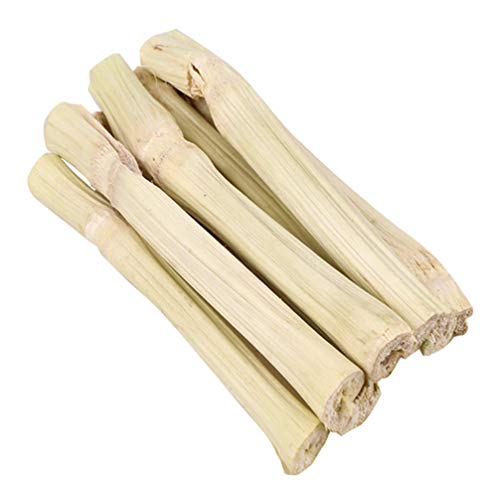 balacoo 500G Kleine Tiere Bambus Kauen Spielzeug Molaren Sticks Süße Bambus Spielzeug für Kaninchen Chinchilla Guinea Schweine Eichhörnchen Hamster von balacoo