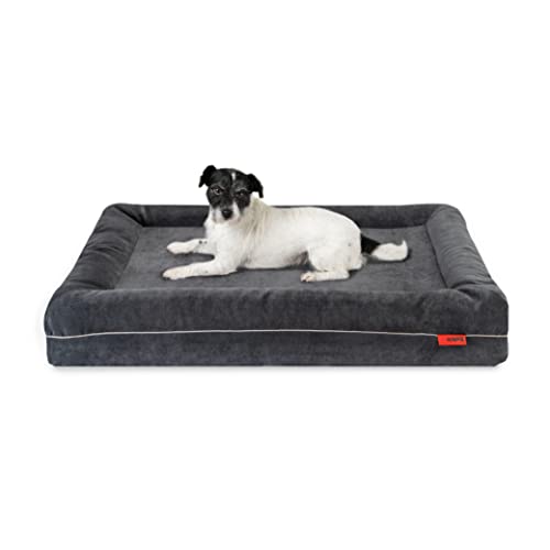 Balkis Hundebett Divan, Made in Germany, Anthrazit, S/M - 90x65 cm von Balkis