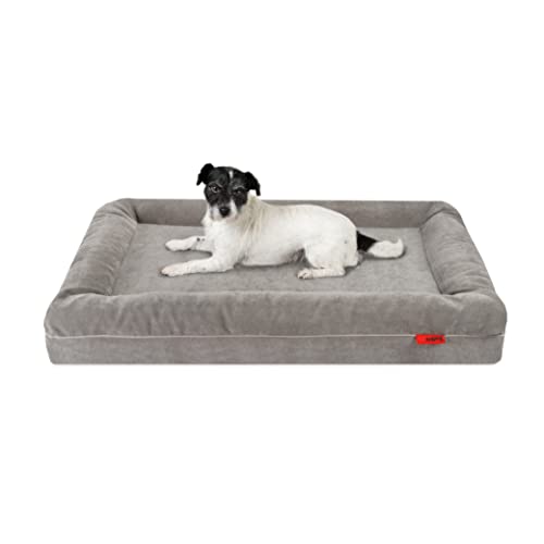 Balkis Hundebett Divan, Made in Germany, Steingrau, S/M - 90x65 cm von Balkis