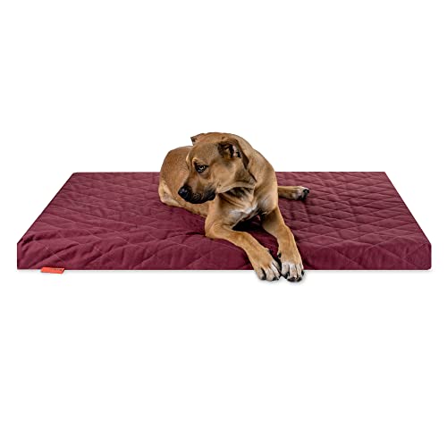 Balkis Hundebett Flat, Made in Germany, Bordeaux, XL - 125x90 cm von Balkis