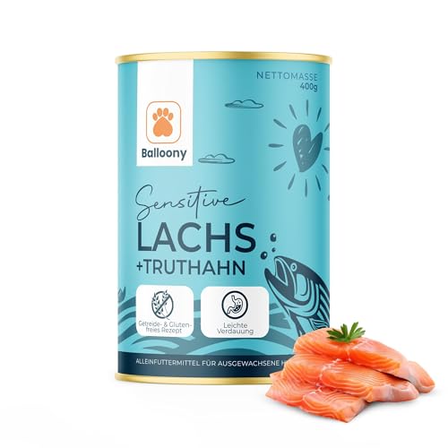 Balloony.pet - Superfood Nassfutter mit Lachs & Truthahn (6x400g) – Darmschonend – Für Hunde mit sensibler Verdauung und besonderen Ernährungsbedürfnissen von Balloony