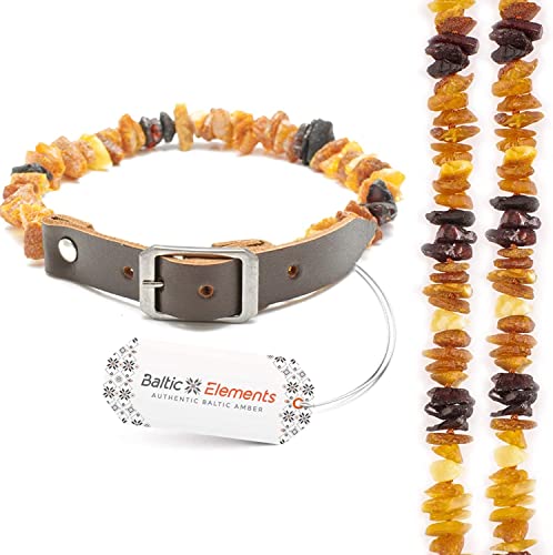 Bernsteinhalsband Hunde, Bernsteinkette Hund (24-26 cm) von Baltic Elements