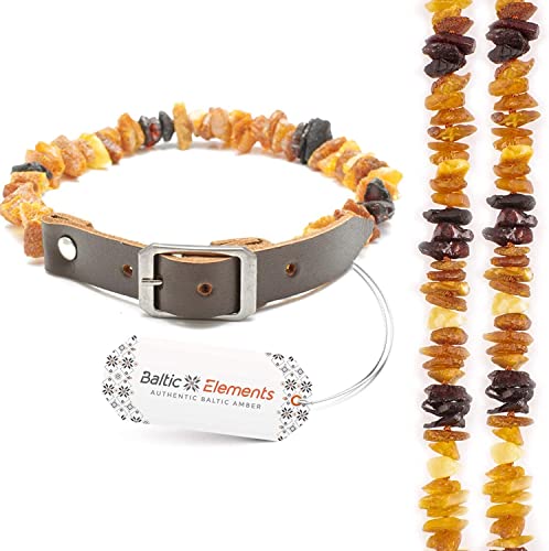 Bernsteinkette Hund & Katze – Verstellbares Bernsteinhalsband – Bernstein Halsband für große & kleine Hunde und Katzen von Baltic Elements