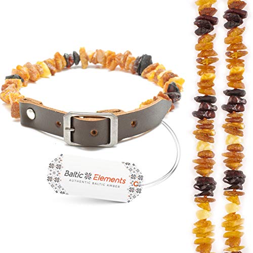 Bernsteinkette Hund & Katze – Verstellbares Bernsteinhalsband – Bernstein Halsband für große & kleine Hunde und Katzen von Baltic Elements