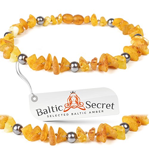 Bernsteinkette Hund | Bernsteinhalsband für Hunde & Katzen | Hundehalsband I Natürliches Halsband Hund aus echt Bernstein mit grauen Perlen von Baltic Secret Selected Baltic Amber