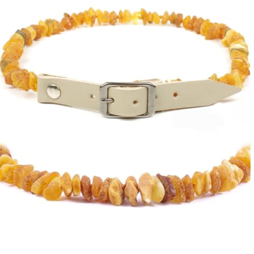 Echte Bernsteinkette für Hund & Katze – Bernstein Halsband mit Verstellbarem Lederband, das deinem Liebling einen einzigartigen Look verleiht. Funkelnd und Trendy! (GRAU, 20-22 cm) von Baltic Secret Selected Baltic Amber