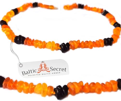 Echte Bernsteinkette für Katzen & kleine Hunde Stylisch Glänzend Bernstein Halsband & Kette das sogar die Nachbarskatze neidisch Macht Perfekter Look für kleine Vierbeiner mit Stil (BUNT, 18 cm) von Baltic Secret Selected Baltic Amber