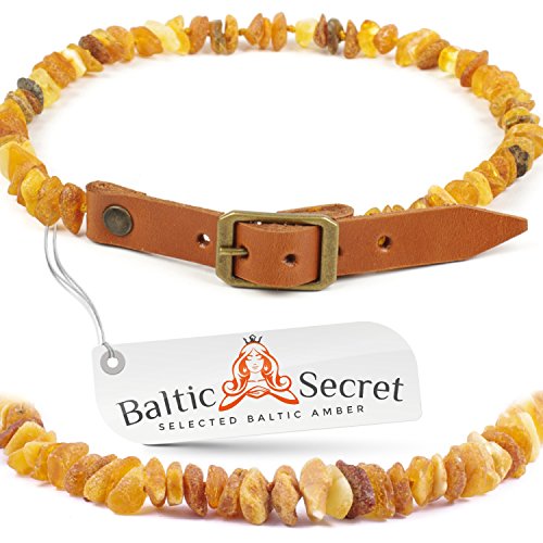 Bernsteinkette Hund | Verstellbares Bernsteinhalsband für Hunde & Katzen mit ORANGE Lederband | Hundehalsband | Natürliches Halsband aus echtem Bernstein Vierbeiner (20-22CM) von Baltic Secret Selected Baltic Amber