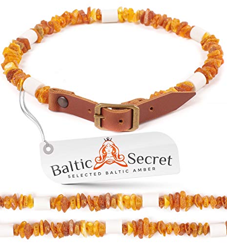 Bernsteinkette Hund mit EM Keramik Pipes - Effektive MIKROORGANISMEN - Bernsteinhalsband Hunde - Bernstein (25-30 cm) von Baltic Secret Selected Baltic Amber