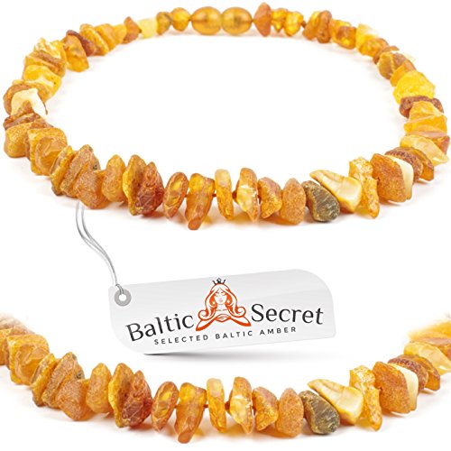 Bernsteinkette Hund | Bernsteinhalsband für Hunde und Katzen | Hundehalsband I Natürliches Halsband Hund aus echt Bernstein von Baltic Secret Selected Baltic Amber