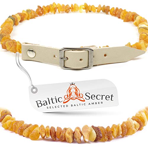 Bernsteinkette Hund, Bernsteinhalsband für Hunde & Katzen, mit 100% Lederband, aus rohem baltischem Bernstein gegen zecken, Zeckenschutz, Flohhalsband Katze von Baltic Secret Selected Baltic Amber