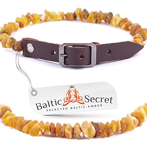 Bernsteinkette Hund | Verstellbares Bernsteinhalsband für Hunde & Katzen mit Lederband | Hundehalsband von Baltic Secret Selected Baltic Amber