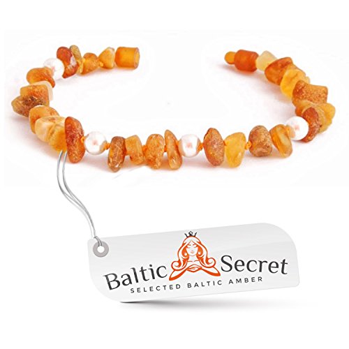 Bernsteinkette Hund | Bernsteinhalsband für Hunde & Katzen | Hundehalsband I Natürliches Halsband Hund aus echt Bernstein mit Perlen von Baltic Secret Selected Baltic Amber