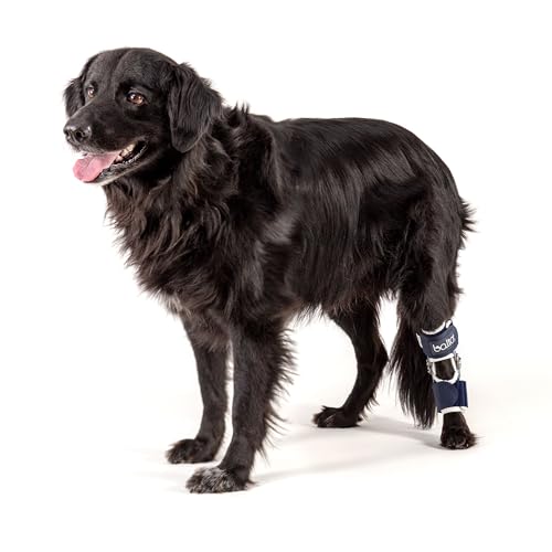 Balto Flexor Verstellbare Hunde-Hock-Bandage mit Scharnier – Knöchelbandage – Variabler Bewegungsbereich oder volle Ruhigstellung – postoperative Unterstützung oder chirurgische Alternative – von Balto