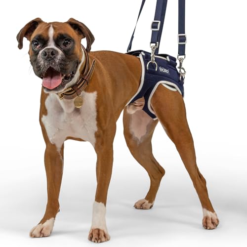 Balto Life Hip Dysplasie Brace - Dog Hip Support Harness - Hind End Adjustable Compression Brace - Distribuute Weight Evenly Helps Prevent New Injuries - Rear Support Aide (Extra Large) von Balto