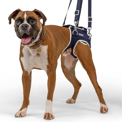Balto Life Hip Dysplasie Brace - Dog Hip Support Harness - Hind End Adjustable Compression Brace - Distribuute Weight Evenly Helps Prevent New Injuries - Rear Support Aide (Small) von Balto