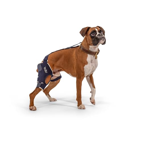 Orthopädische Bandage für Hunde, Kreuzband, Arthritis, Patella, BT Jump von Balto