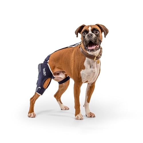 Orthopädische Bandage für Hunde, Kreuzband, Arthritis, Patella, BT Jump von Balto