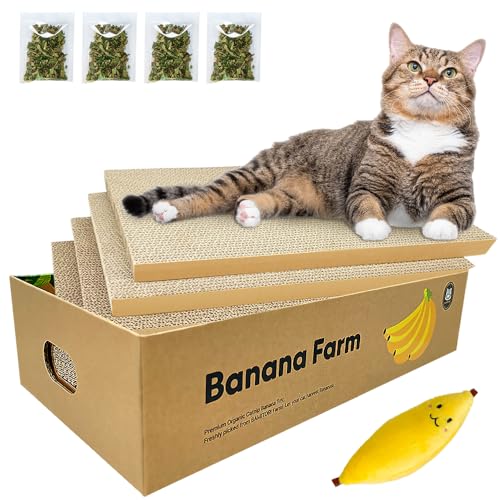 Banana Katzenkratzer aus Karton, Kratzunterlage mit Katzenkratzbox, Wende-Pappe Nachfüllpad, Lounge für Indoor-Katzen, Kratzbaum aus Karton mit Katzenminze von Bamitori