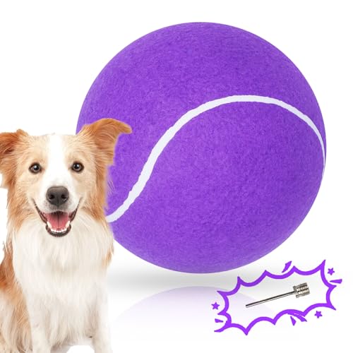 Banfeng Großer Tennisball für Hunde, riesiger Hunde-Tennisball, Spielzeug, groß, Outdoor-Sport, Geschenk für kleine, mittelgroße und große Hunde (lila, 24,1 cm) von Banfeng