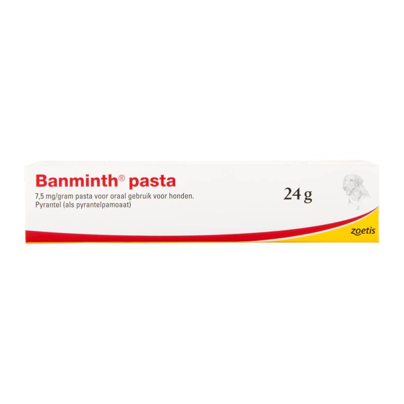 Banminth Paste Hund - 24 g von Banminth